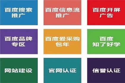 SEM广告案例解析：转化率提升策略