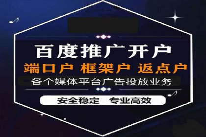 百度SEO与广告结合的多元化推广策略——多行业成功案例